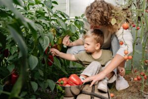 Bringing the joy of year-round gardening to life.