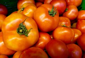 Pile of freshly harvested orange and yellow tomatoes from a greenhouse.